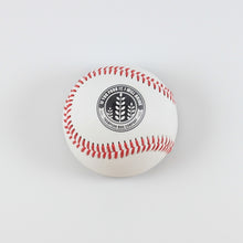 Load image into Gallery viewer, Batter Up